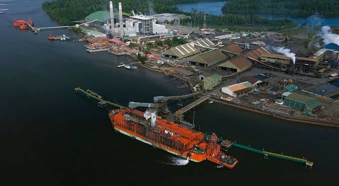 Menghijaukan Kembali Areal Pembuangan Limbah Tailing PT Freeport