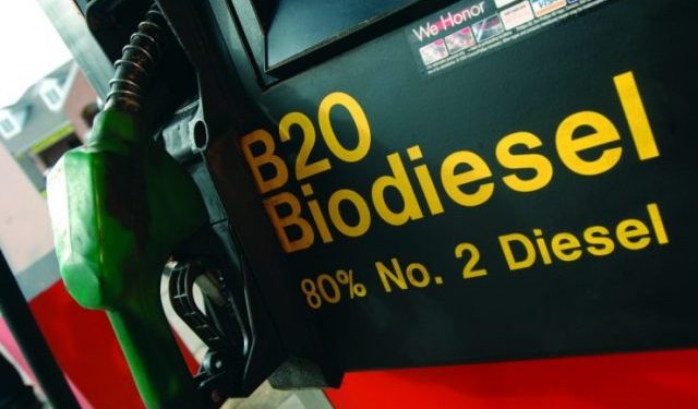 Indonesia Kini Produsen Biodiesel Terbesar Di Dunia, Lewati AS, Brasil ...