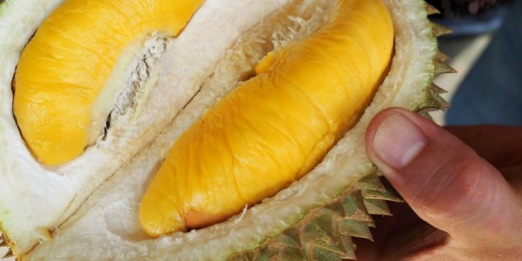 Hanya Jualan Durian, Pengusaha Malaysia Kaya Raya