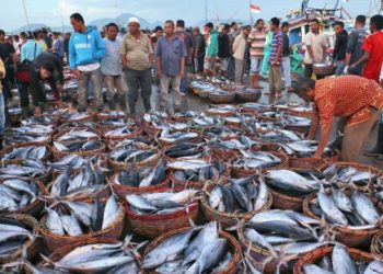 KKP Gandeng JICA Kembangkan Koperasi Perikanan