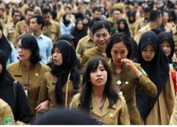 PNS Indonesia Didominasi Wanita, Kebanyakan Guru dan Tenaga Kesehatan