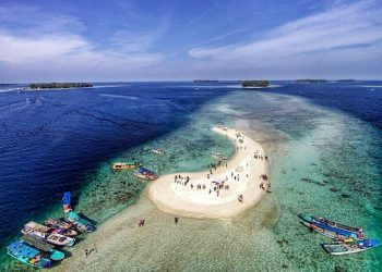 Tercemar Minyak, Biota Laut Perairan Kepulauan Seribu Terancam