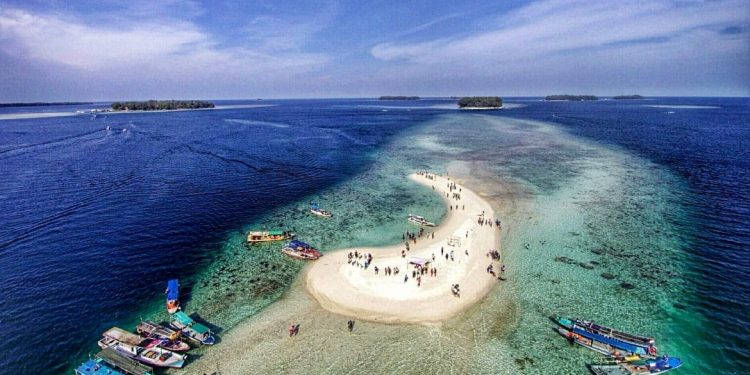 Tercemar Minyak, Biota Laut Perairan Kepulauan Seribu Terancam