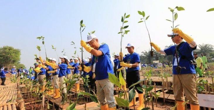 Dukung Mitigasi Perubahan Iklim, Perusahaan Jepang Tanam Mangorove 1 Dukung Mitigasi Perubahan Iklim, Perusahaan Jepang Tanam Mangorove