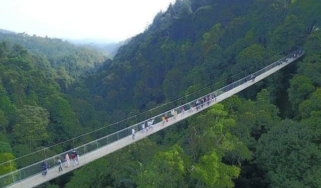 Eksotisme Sukabumi, Tawarkan Pesona Jembatan Gantung Terpanjang di Asia