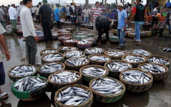 Pertama Kalinya Indonesia Luncurkan Tempat Pelelangan Ikan Digital