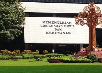 Industri Kayu Putih Kekurangan Pasokan, KLHK Dorong  Perhutanan Sosial