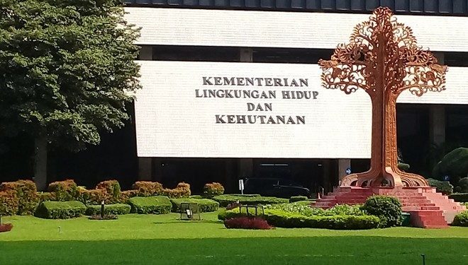 Industri Kayu Putih Kekurangan Pasokan, KLHK Dorong Perhutanan Sosial 1 Industri Kayu Putih Kekurangan Pasokan, KLHK Dorong Perhutanan Sosial