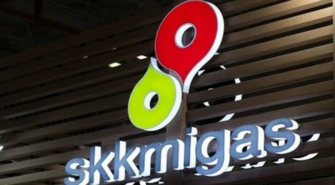 Kinerja Pertamina Jadi Sorotan, Pemerintah Desak Pembenahan