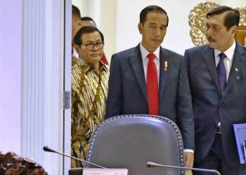 Menko Luhut Minta Presiden Hentikan Impor Garam