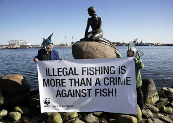Lindungi Laut, Indonesia Ajak Negara di Dunia Tangani Illegal Fishing