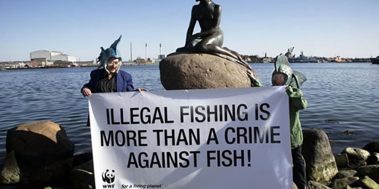 Lindungi Laut, Indonesia Ajak Negara di Dunia Tangani Illegal Fishing