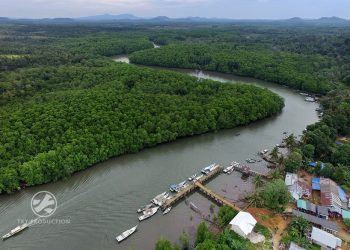 Bencana Ekologi Mengancam Geopark Tebat Rasau