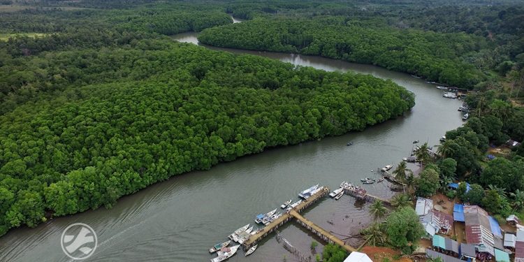 Bencana Ekologi Mengancam Geopark Tebat Rasau