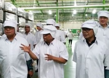Cerita Menteri Darmin dari Kunjungan ke Pabrik Pengolahan Pisang di Lampung 3