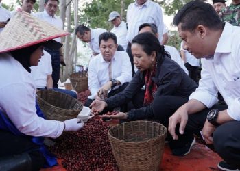 Menteri Rini Dorong PTPN XII Fokus Produksi Kopi Arabica Jampit 2