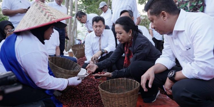 Menteri Rini Dorong PTPN XII Fokus Produksi Kopi Arabica Jampit 1