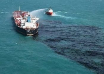 Tumpahan Minyak Pertamina Ancam Biota Laut dan Ekosistem Pantai 1
