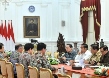 Bos Hyundai Temui Jokowi untuk Apa? 1