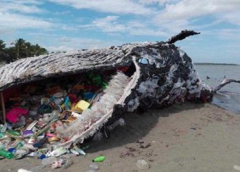 Sampah Plastik Mengancam Kehidupan di Bumi