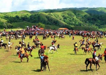 Serunya Atraksi dan Parade Kuda di Festival Sandelwood 2019