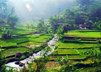 Demi Geopark Pongkor, KLHK Diminta Tak Perpanjang Izin Tambang Emas