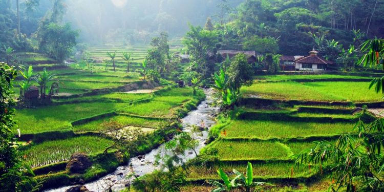 Demi Geopark Pongkor, KLHK Diminta Tak Perpanjang Izin Tambang Emas