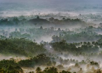 Pariwisata Jateng dan DIY Ditarget Sumbang Devisa Rp30 Triliun