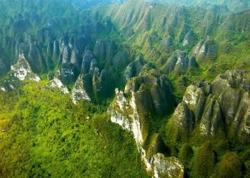 Ekosistem Karst Sangkulirang dan Orang Utan Kini Dalam Ancaman