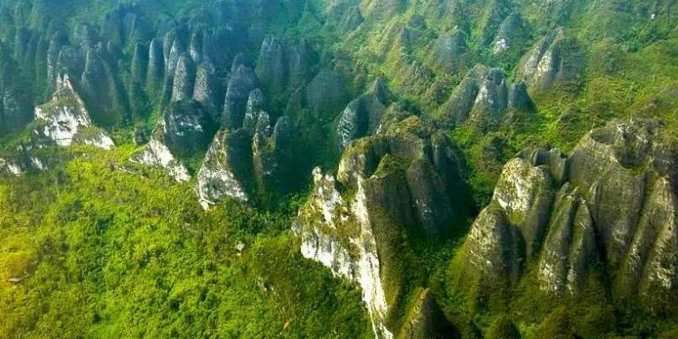 Ekosistem Karst Sangkulirang dan Orang Utan Kini Dalam Ancaman