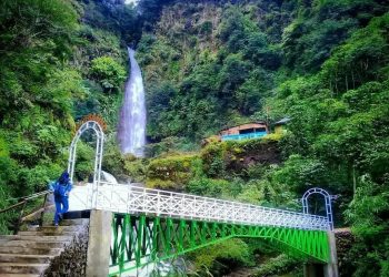 Potensi Pasar Menjanjikan, Perhutani Garap Ekowisata