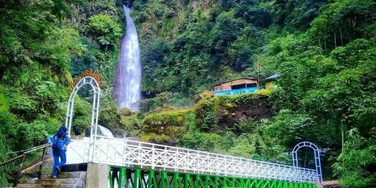 Potensi Pasar Menjanjikan, Perhutani Garap Ekowisata