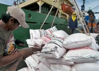 Petrokimia Ekspor 202 Ribu Ton Urea ke Negara Asia dan Afrika