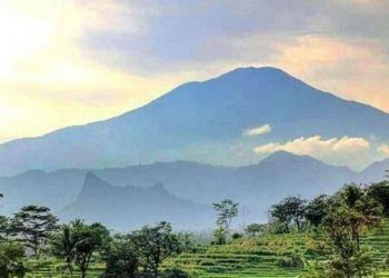 Bencana Kebakaran, Seluruh Jalur Pendakian Gunung Ciremai Ditutup