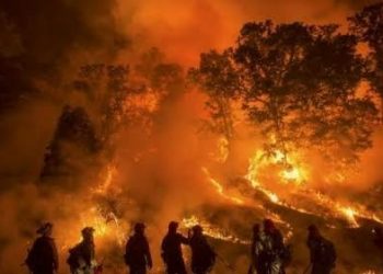 Bencana Kebakaran Mengancam Sebagian Wilayah ASEAN