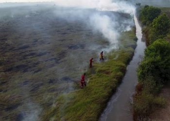 Menteri LH Sedih Liat Taman Nasional Tesso Nilo Rusak Parah