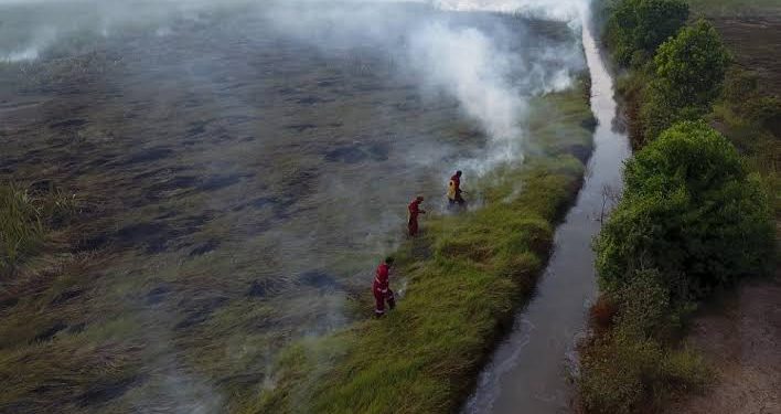 Menteri LH Sedih Liat Taman Nasional Tesso Nilo Rusak Parah