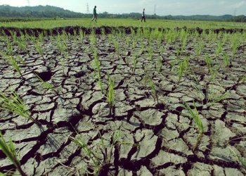 Bencana Kekeringan Mengancam Jakarta dan Banten