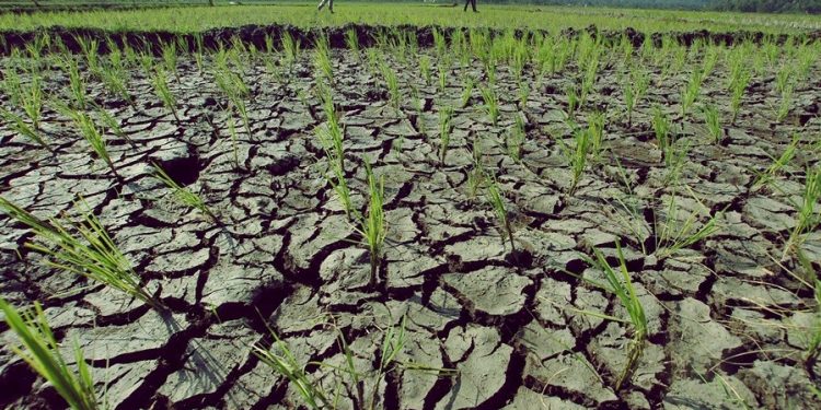 Bencana Kekeringan Mengancam Jakarta dan Banten