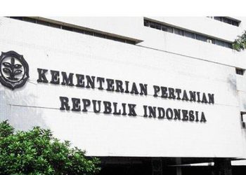 Indonesia Ekspor Sarang  Walet ke Hong Kong Senilai Rp14,8 Miliar