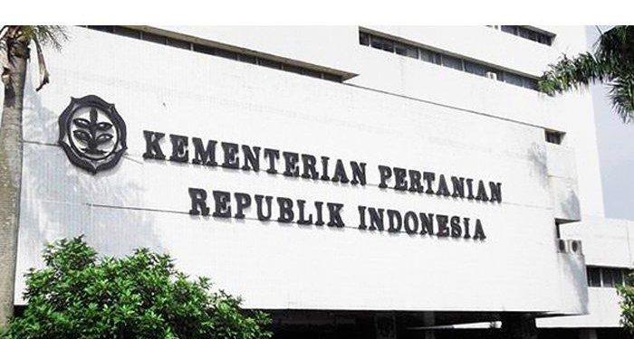 Indonesia Ekspor Sarang  Walet ke Hong Kong Senilai Rp14,8 Miliar