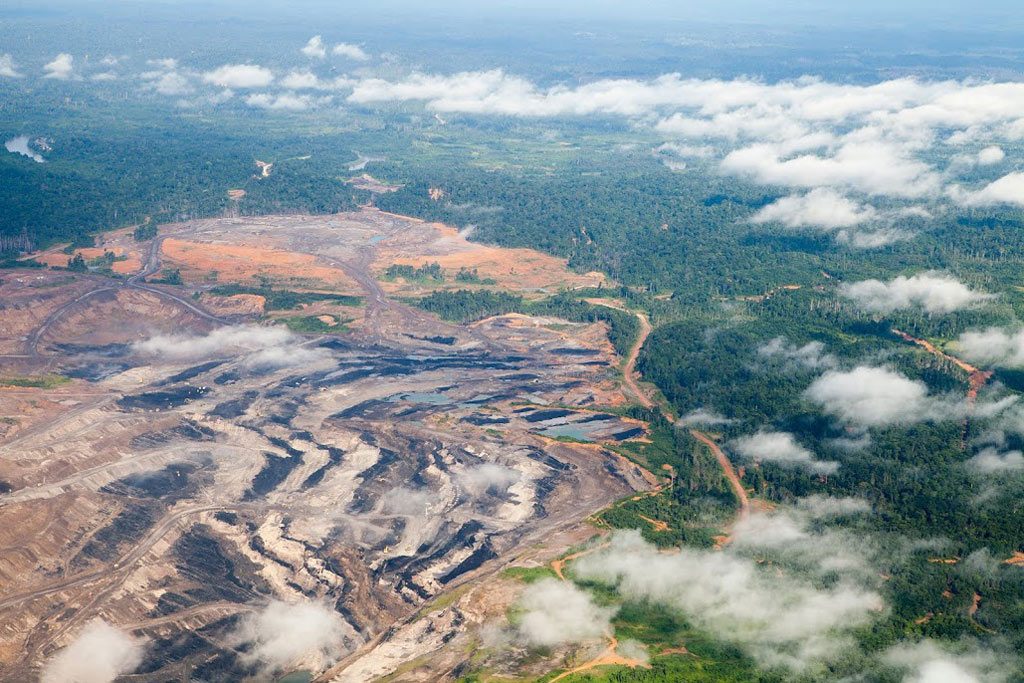 Pemerintah Indonesia Hentikan Pemberian Izin Baru Hutan Primer dan