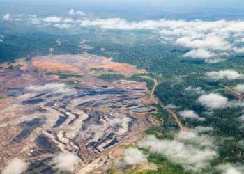 Pemerintah Indonesia Hentikan Pemberian Izin Baru Hutan Primer dan Lahan Gambut