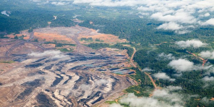 Pemerintah Indonesia Hentikan Pemberian Izin Baru Hutan Primer dan Lahan Gambut