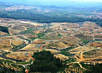 Bencana Iklim, Para Ilmuwan Serukan Berhenti Membuat Kerusakan di Muka Bumi