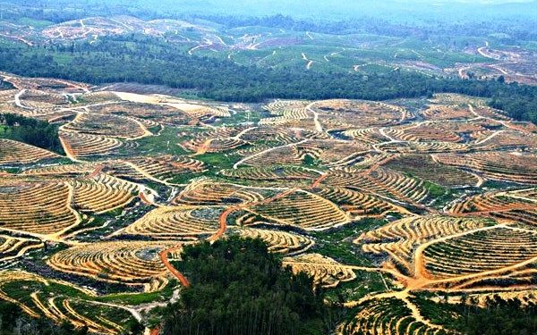 Bencana Iklim, Para Ilmuwan Serukan Berhenti Membuat Kerusakan di Muka Bumi