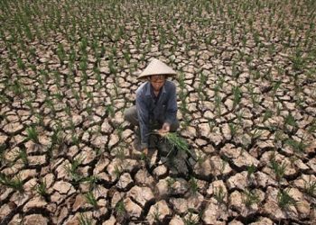 Mewaspdai Krisis Pangan Dunia Akibat Perubahan Iklim