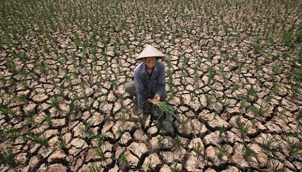 Mewaspdai Krisis Pangan Dunia Akibat Perubahan Iklim Asiatoday Id