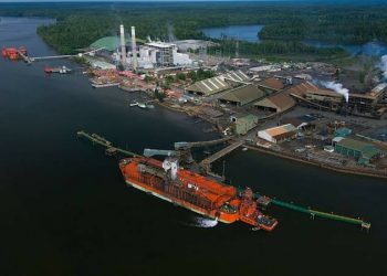 Menghijaukan Kembali Areal Pembuangan Limbah Tailing PT Freeport