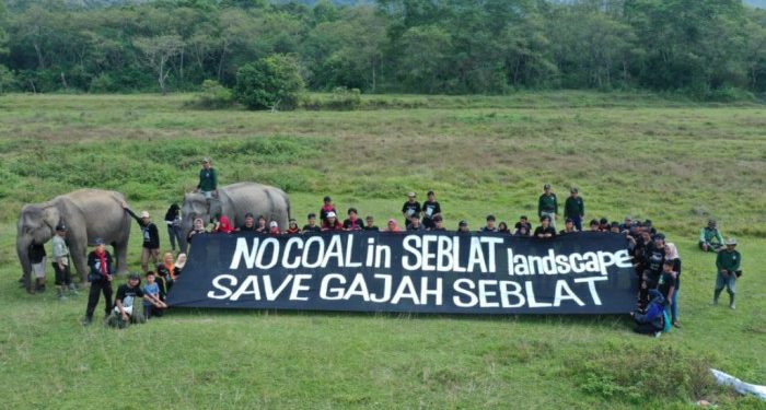 Ancam Habitat Gajah, Aktivis Tolak Tambang Batu Bara